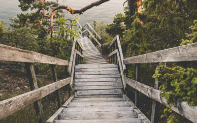 Vad är det egentligen med de där små stegen?