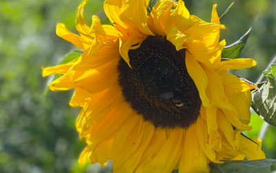 Att säga man eller jag spelar väl ingen roll?