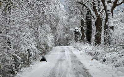 Alltså jag har det bra men….