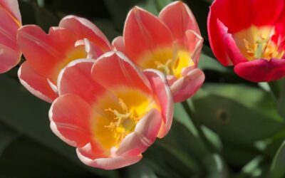 Att vara nyfiken på sig själv.