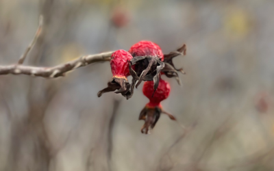 Att känna sig fast..